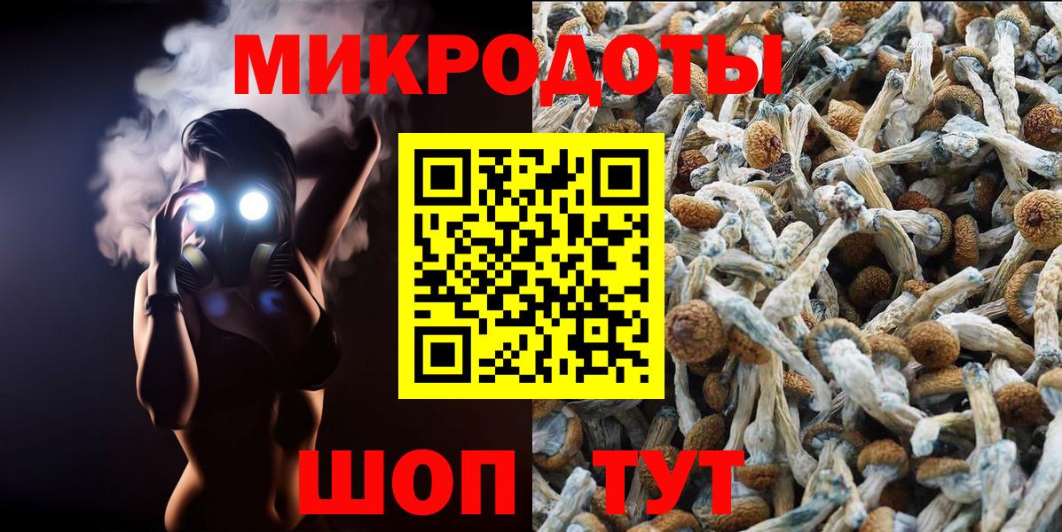 Галлюциногенные грибы GOLDEN TEACHER  Вход с VPN  Кузнецк  Псилоцибиновые грибы Psilocybe 