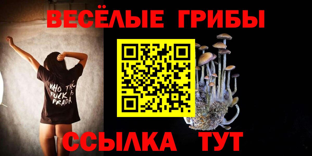 Псилоцибиновые грибы прущие грибы Кузнецк